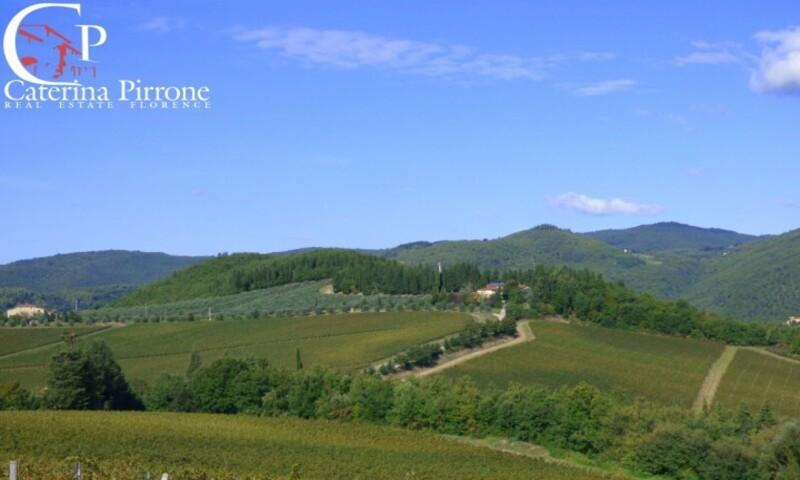 /api/file/public/264118/24320