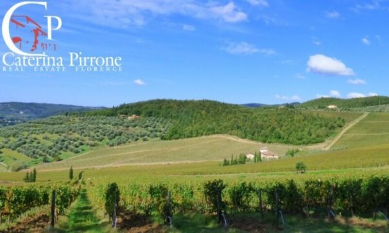 /api/file/public/264118/24321