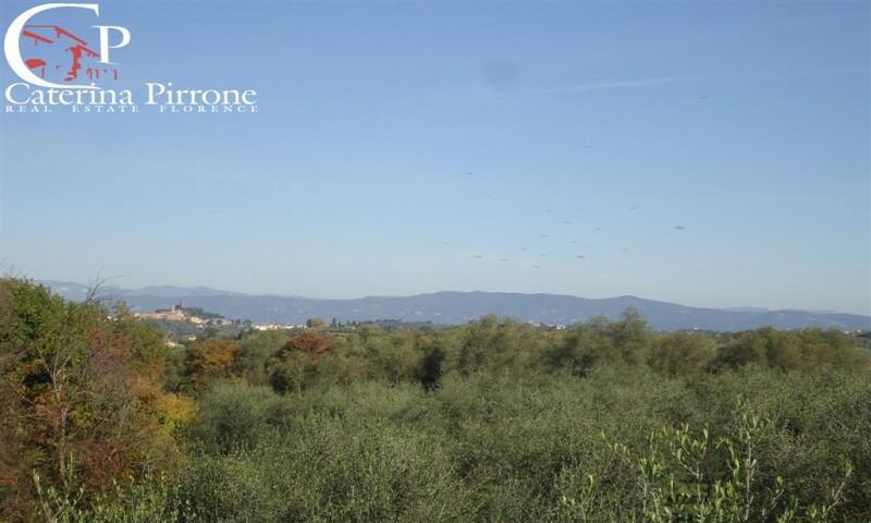 /api/file/public/264119/24323