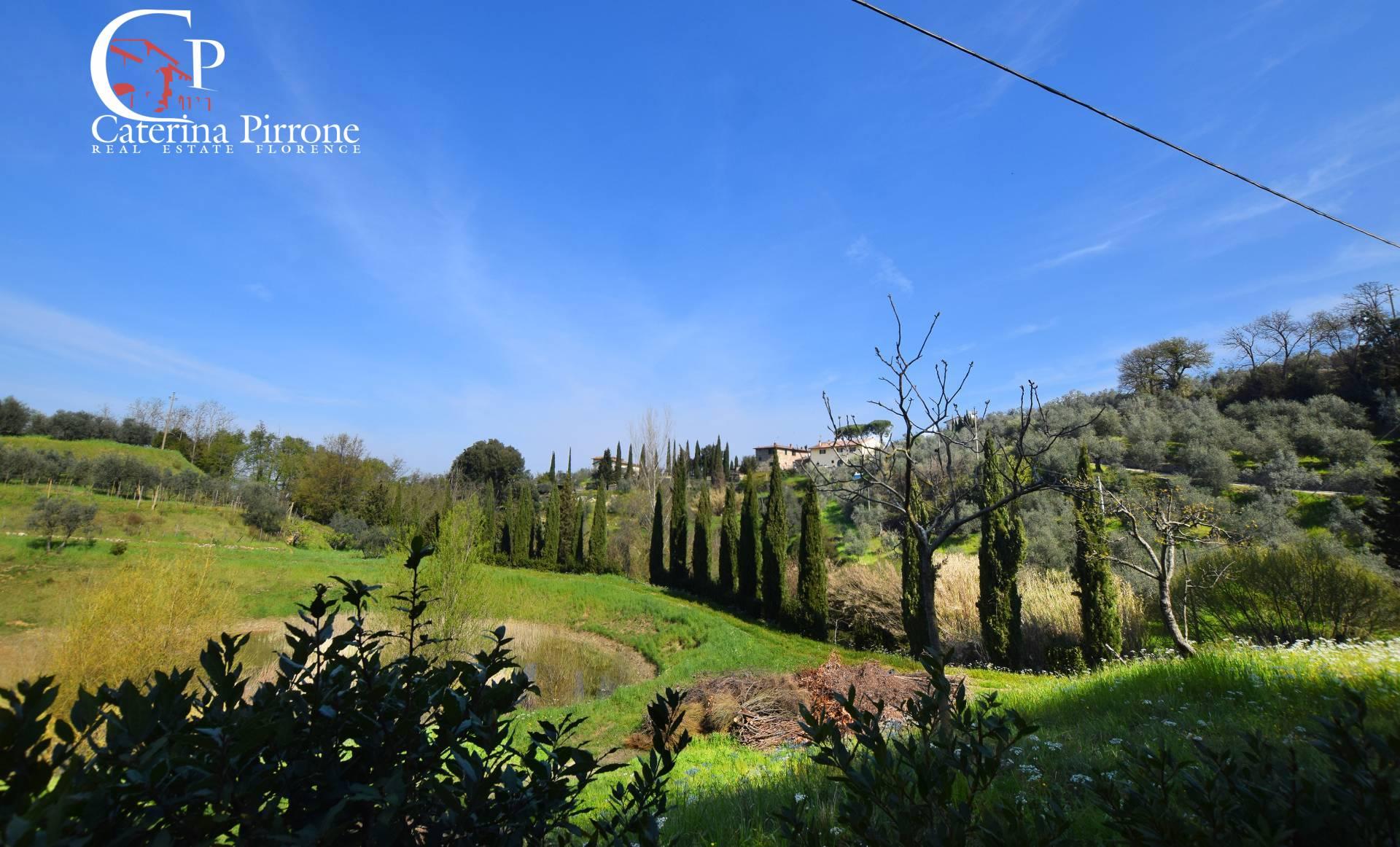 /api/file/public/264134/24336