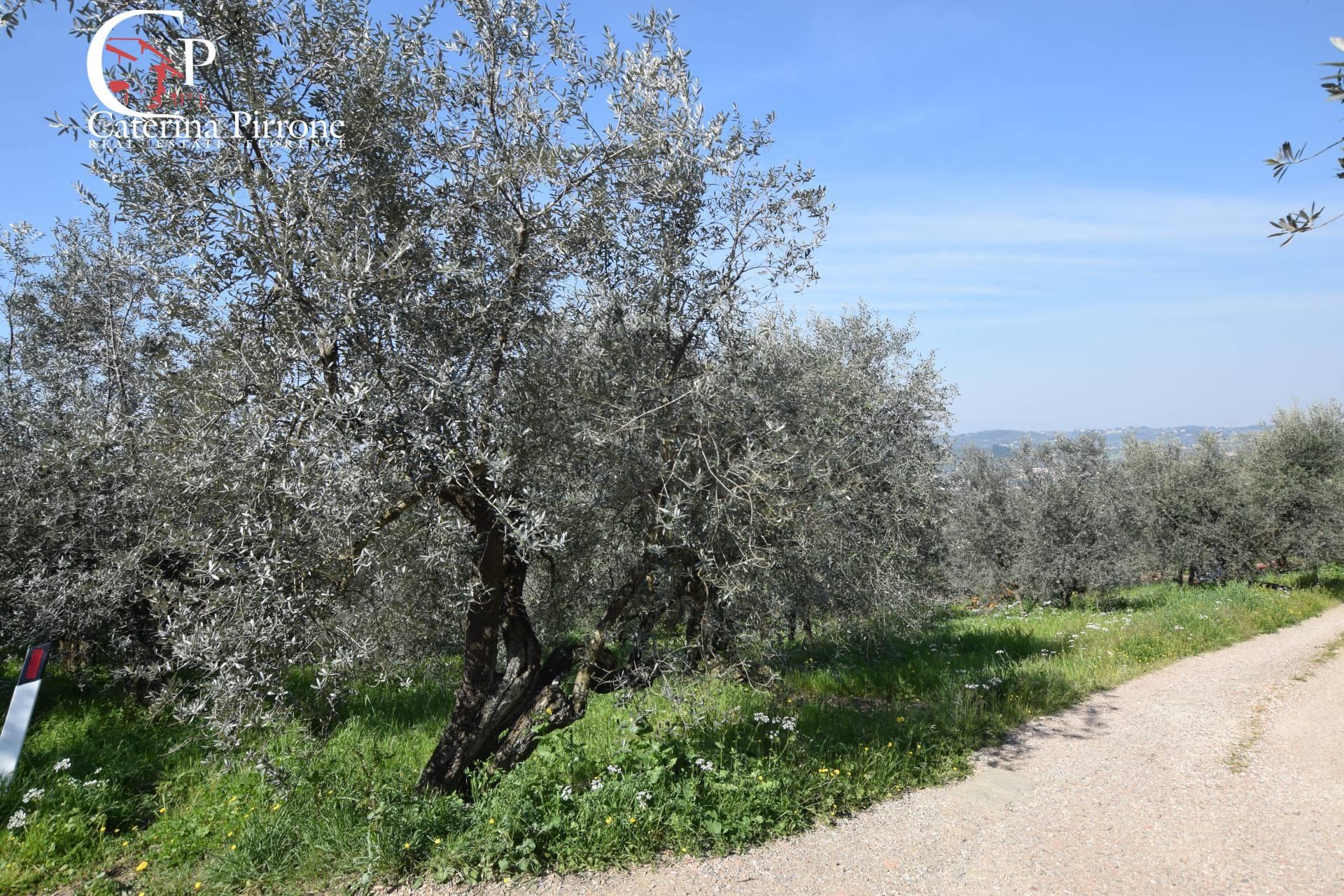 /api/file/public/264134/24337