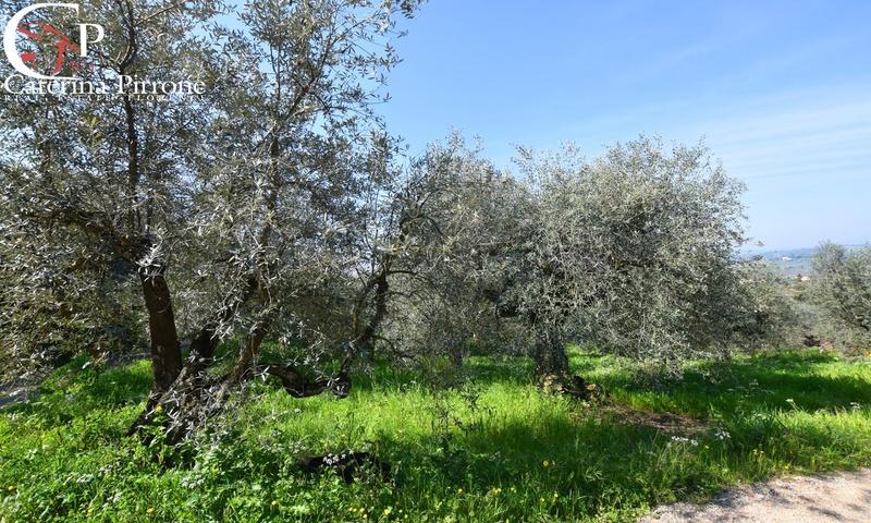 /api/file/public/264135/24339