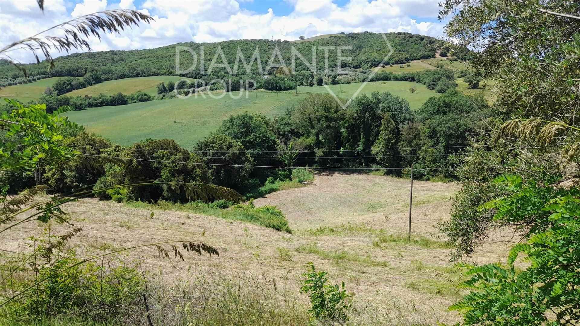 /api/file/public/264150/24534