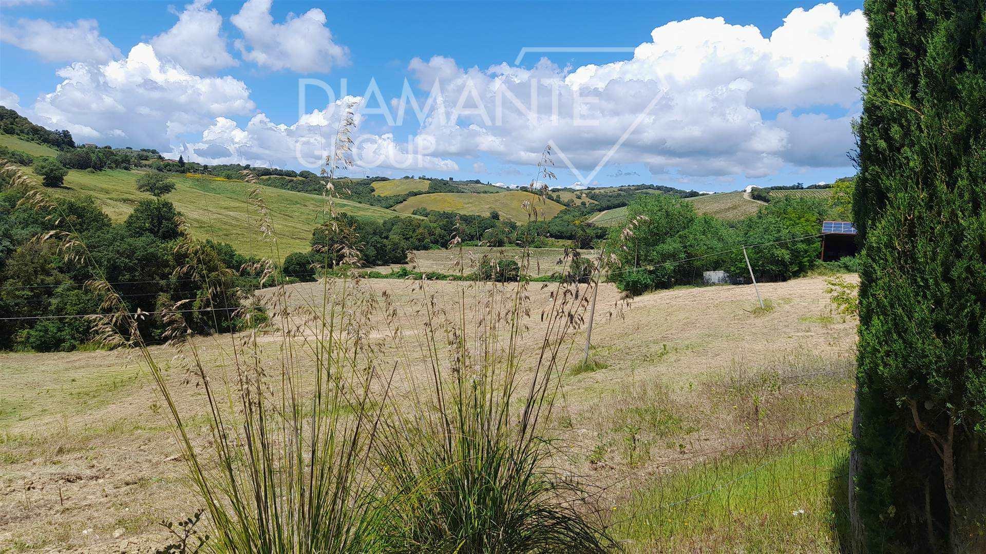 /api/file/public/264150/24535