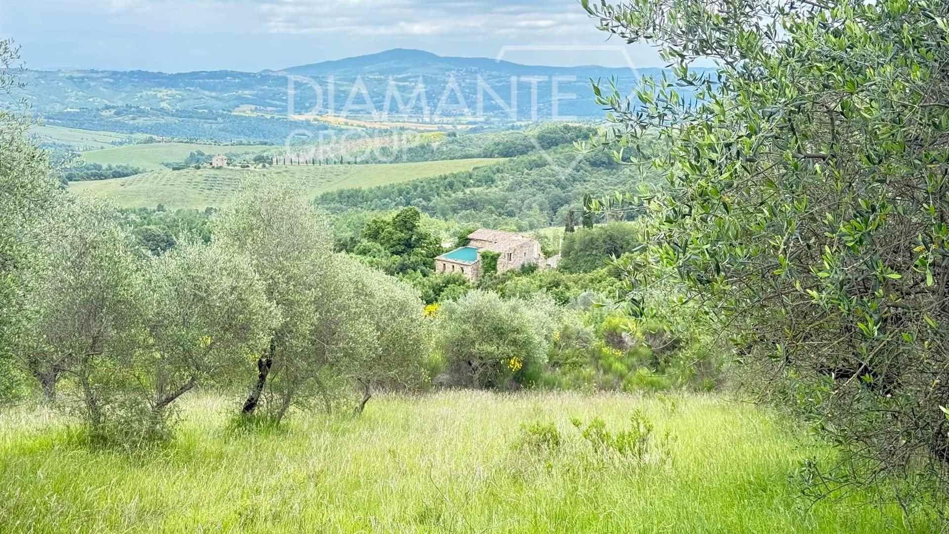 /api/file/public/264151/24537