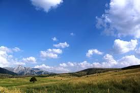 /api/file/public/264162/24683