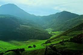 /api/file/public/264162/24684