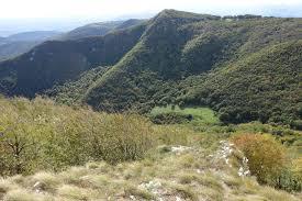 /api/file/public/264162/24686