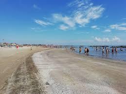 /api/file/public/264163/24714