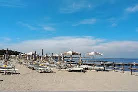 /api/file/public/264163/24718