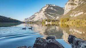 /api/file/public/264165/24730