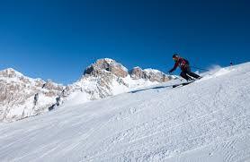 /api/file/public/264167/24740