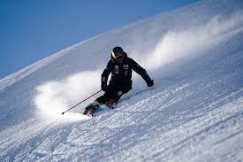 /api/file/public/264168/24751