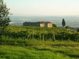 /api/file/public/264173/24801