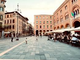 /api/file/public/264174/24810