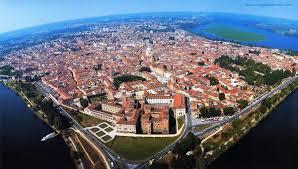 /api/file/public/264220/24959