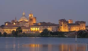 /api/file/public/264220/24964