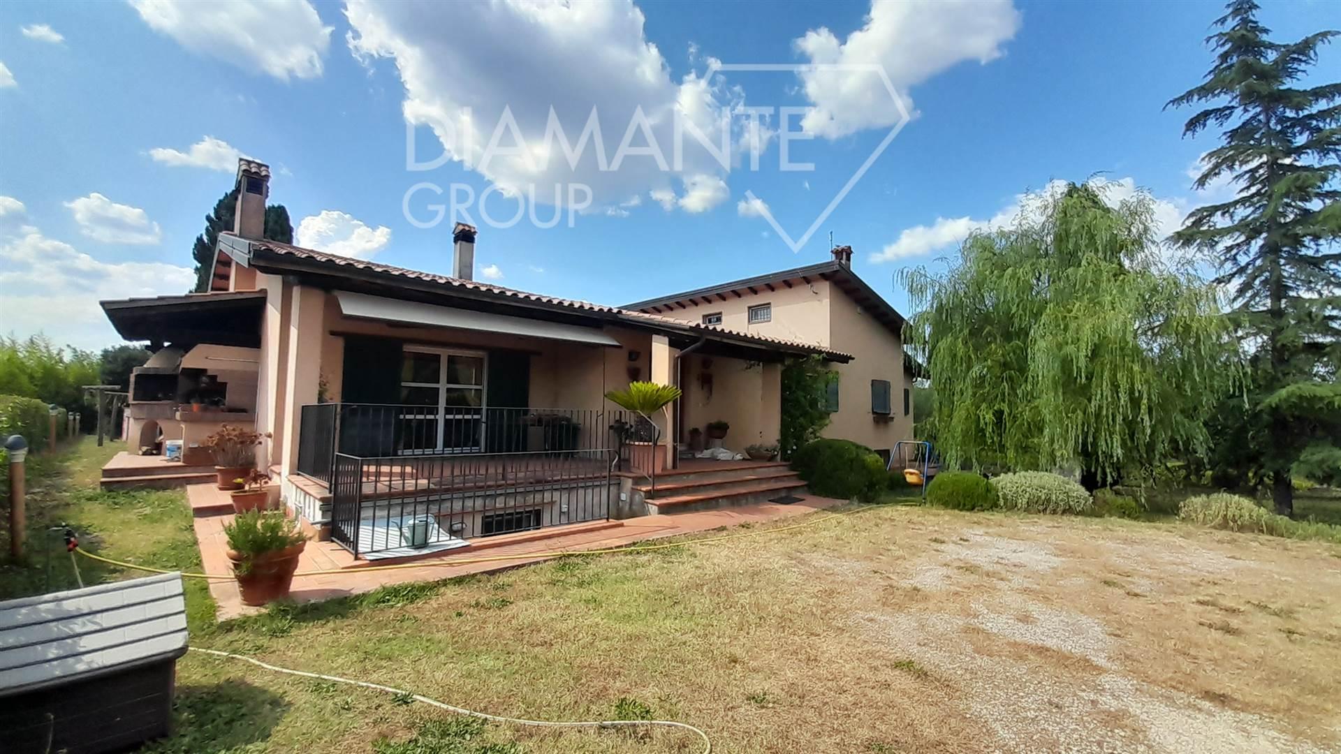 /api/file/public/264279/25220