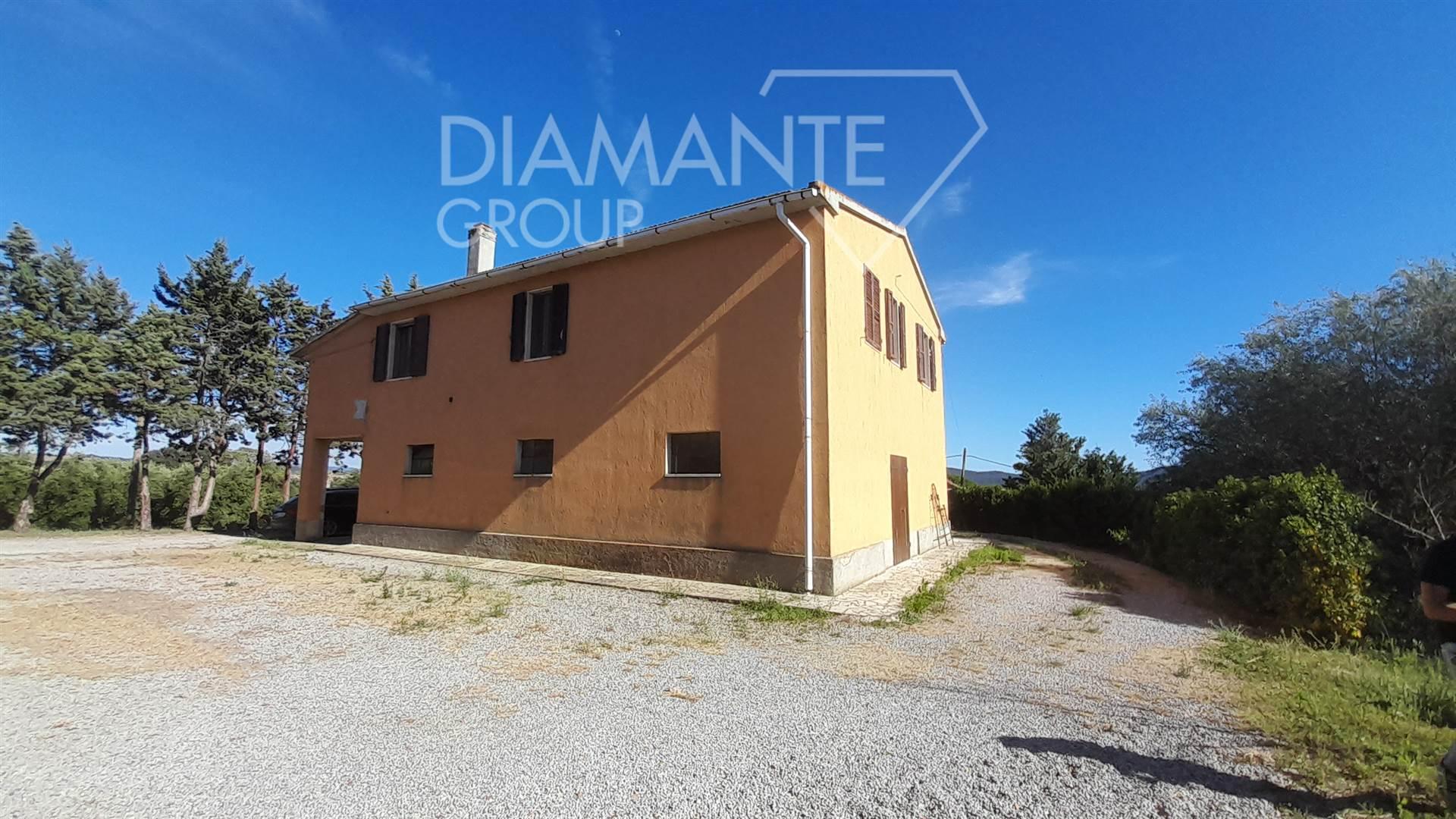 /api/file/public/264281/25224