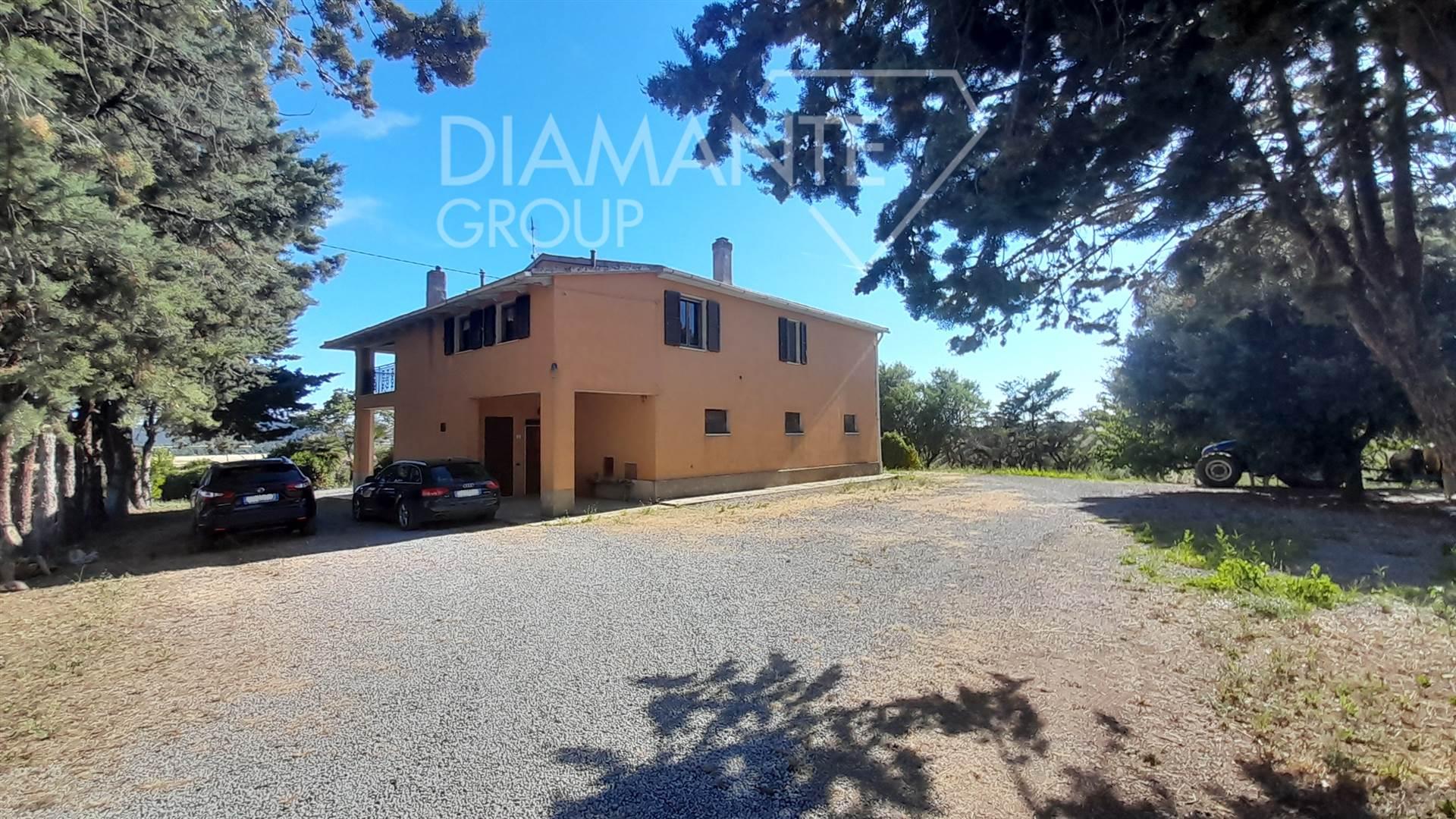 /api/file/public/264281/25225