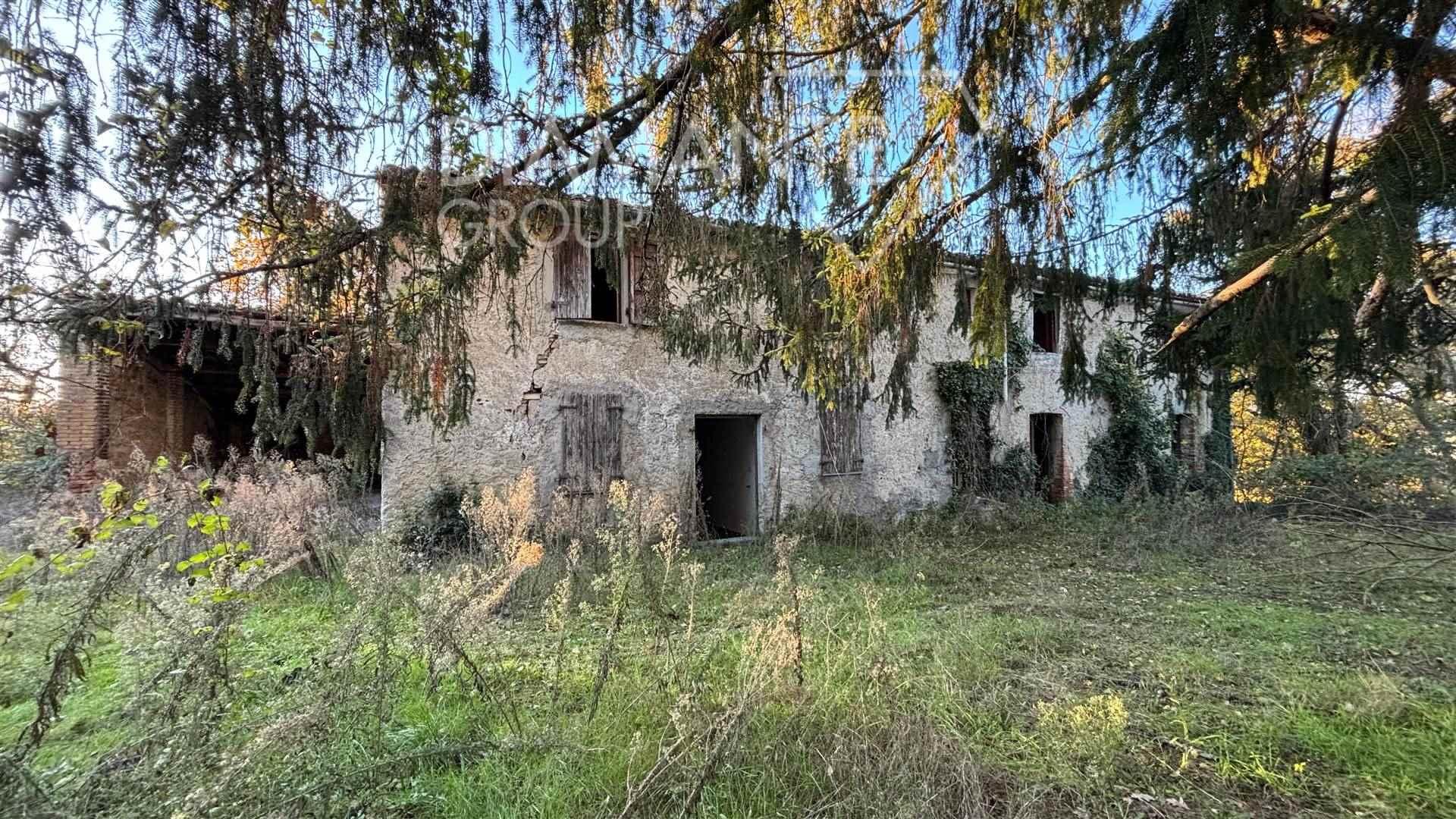 /api/file/public/264282/25227