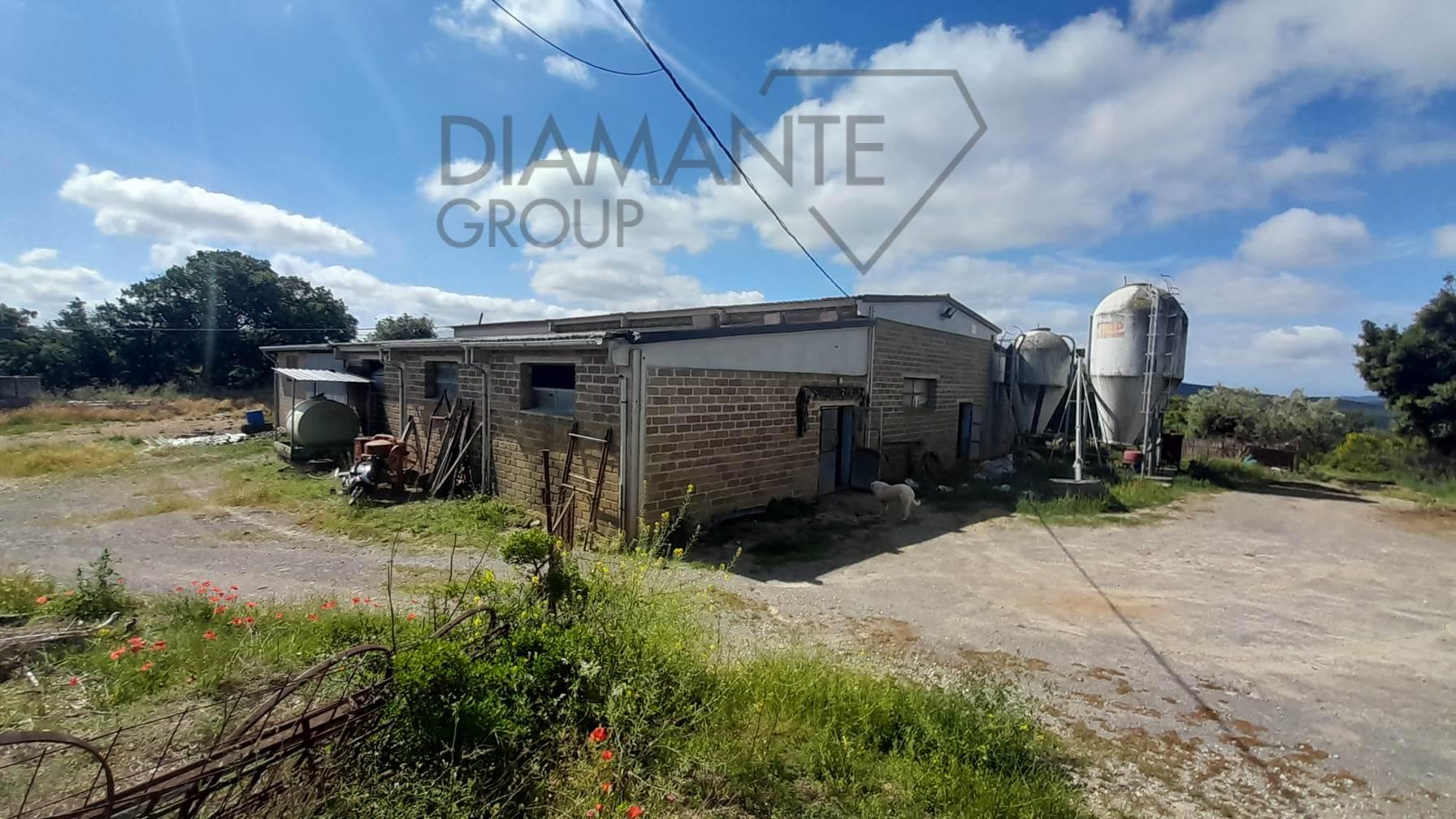 /api/file/public/264283/25228