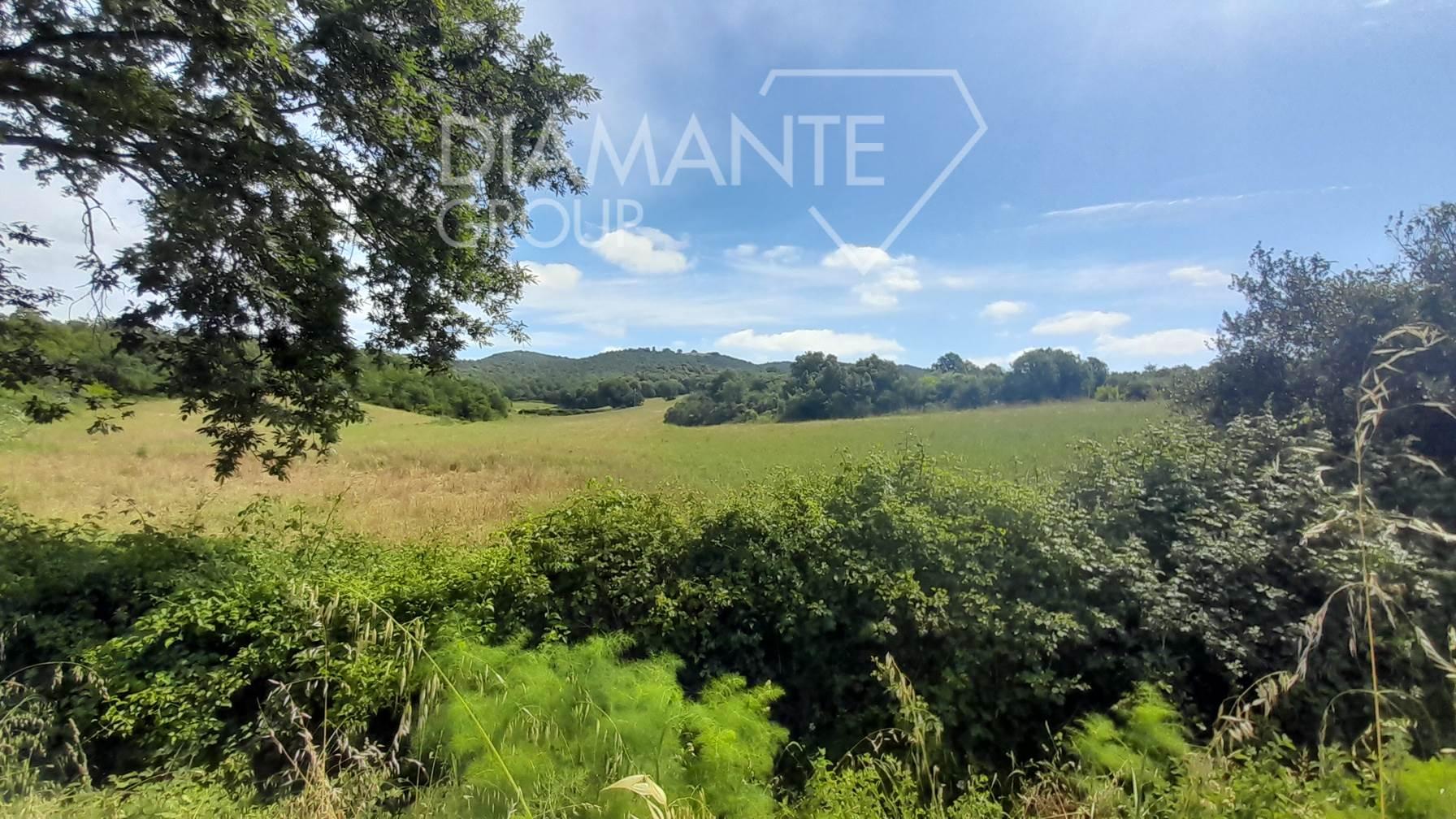 /api/file/public/264283/25229