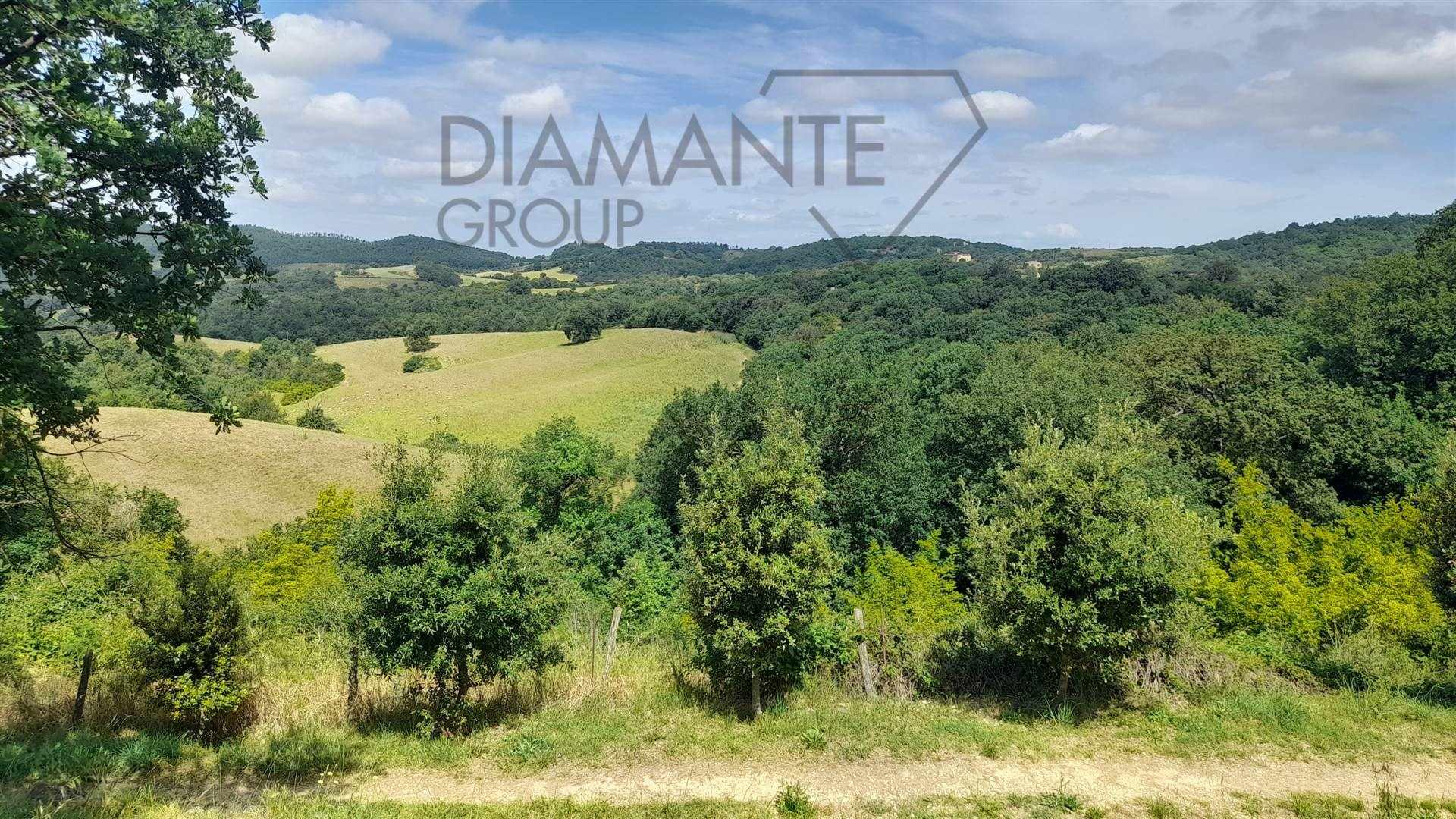 /api/file/public/264283/25230