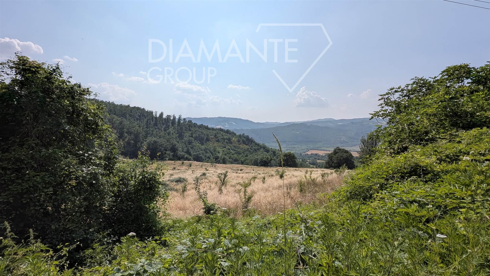 /api/file/public/264284/25231