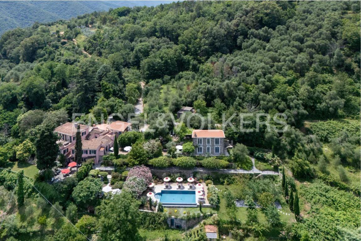 /api/file/public/264363/25464