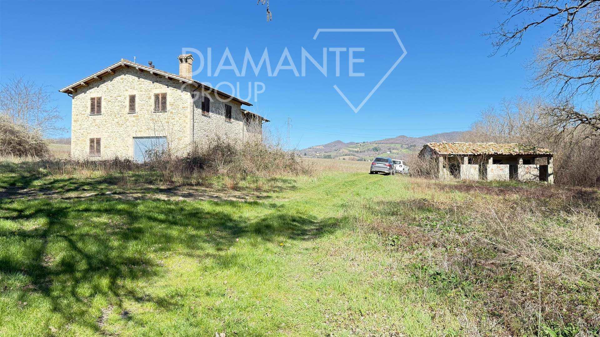 /api/file/public/264368/25495