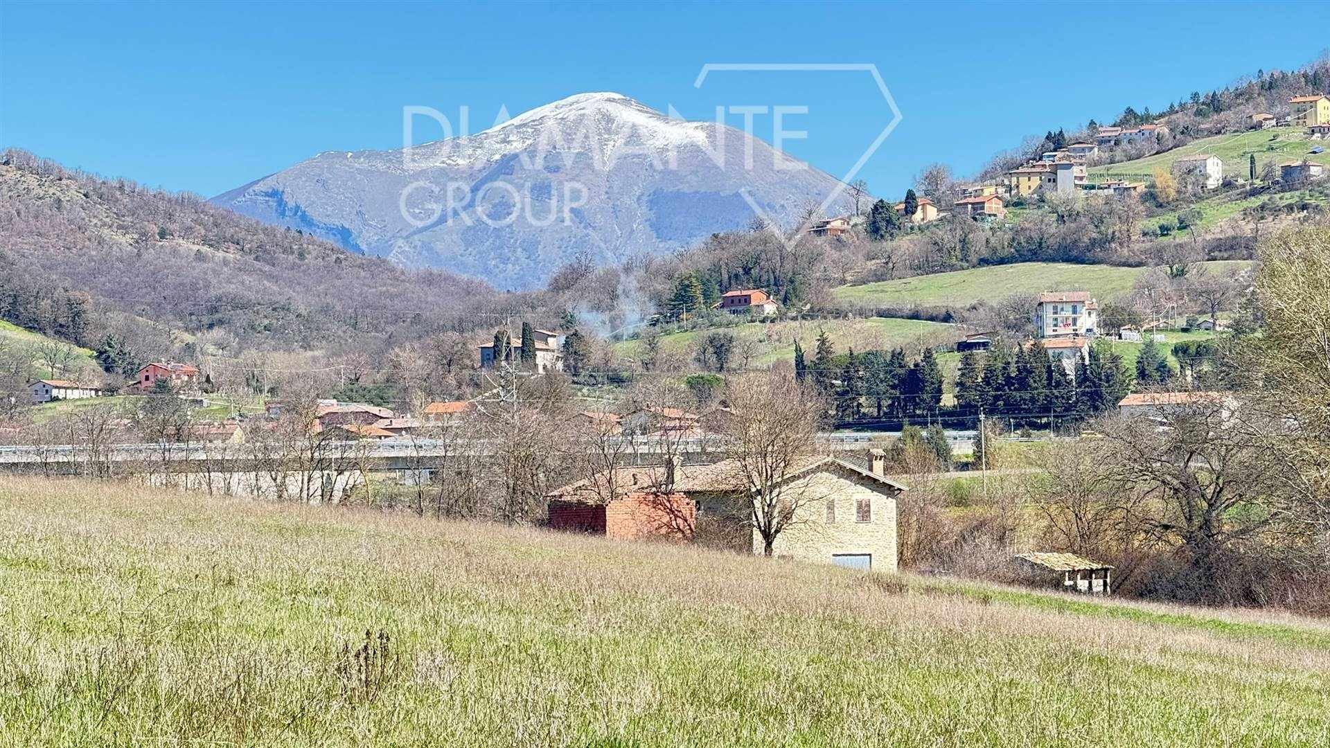 /api/file/public/264368/25496