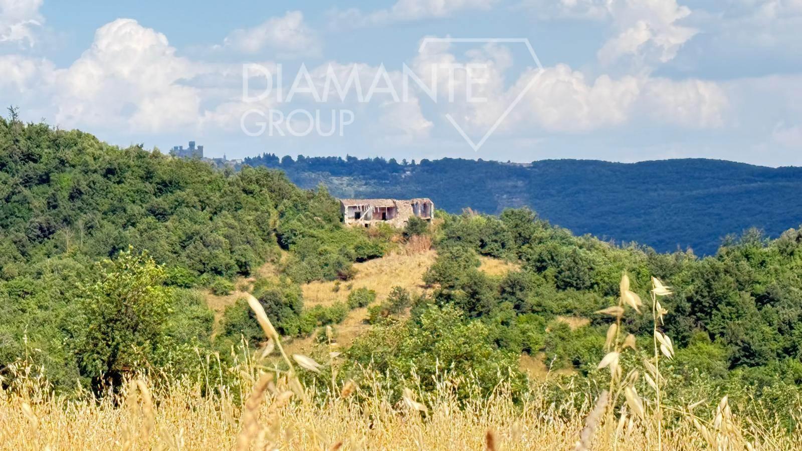 /api/file/public/264369/25497