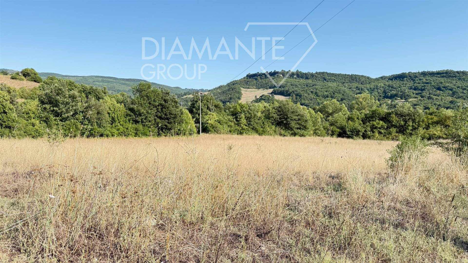 /api/file/public/264369/25498