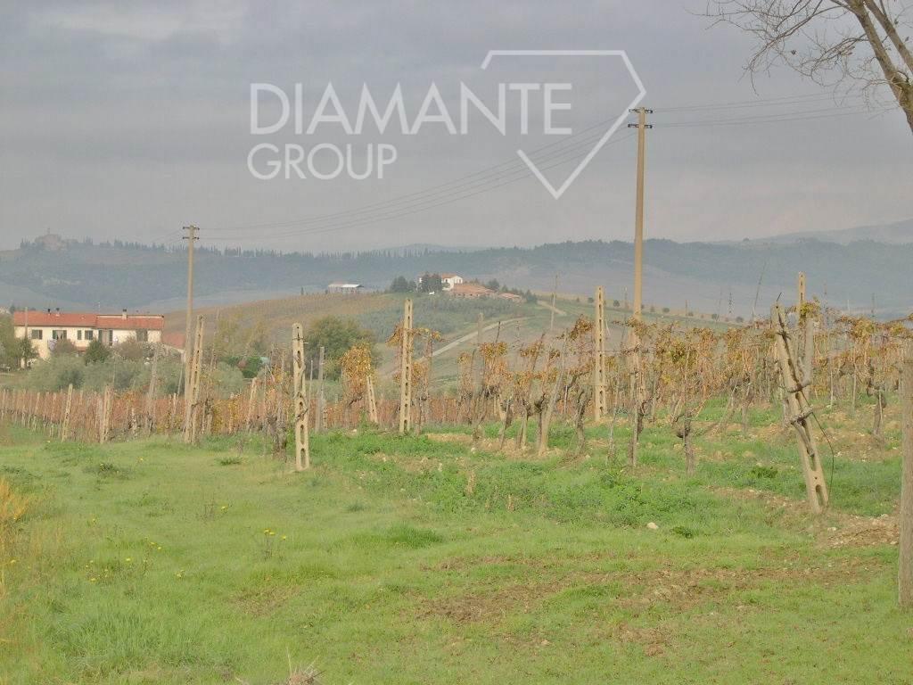 /api/file/public/264370/25500