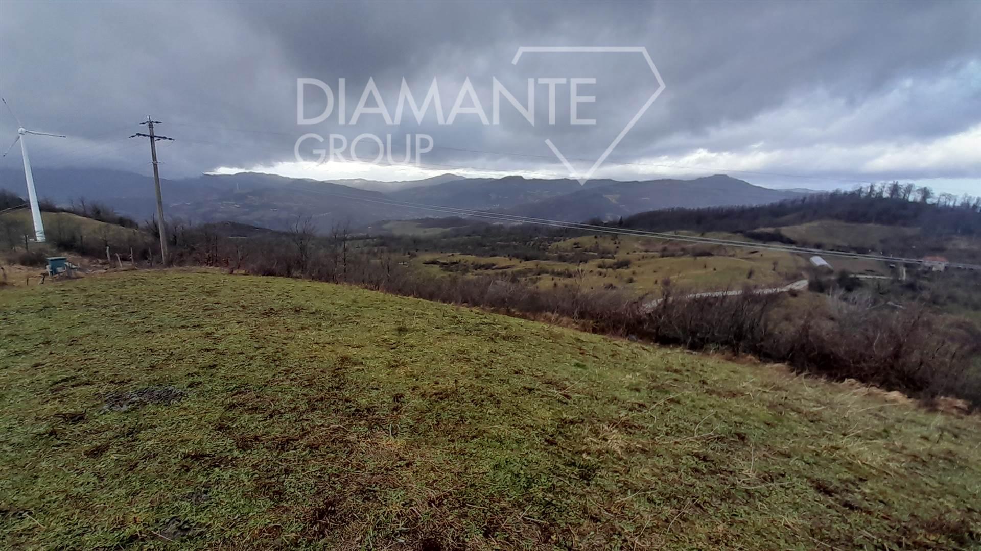 /api/file/public/264371/25503