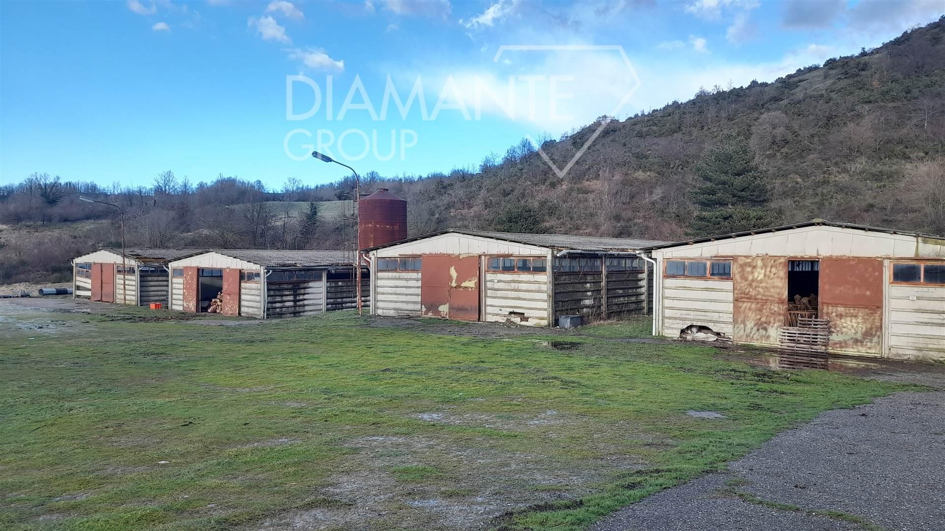 /api/file/public/264371/25504