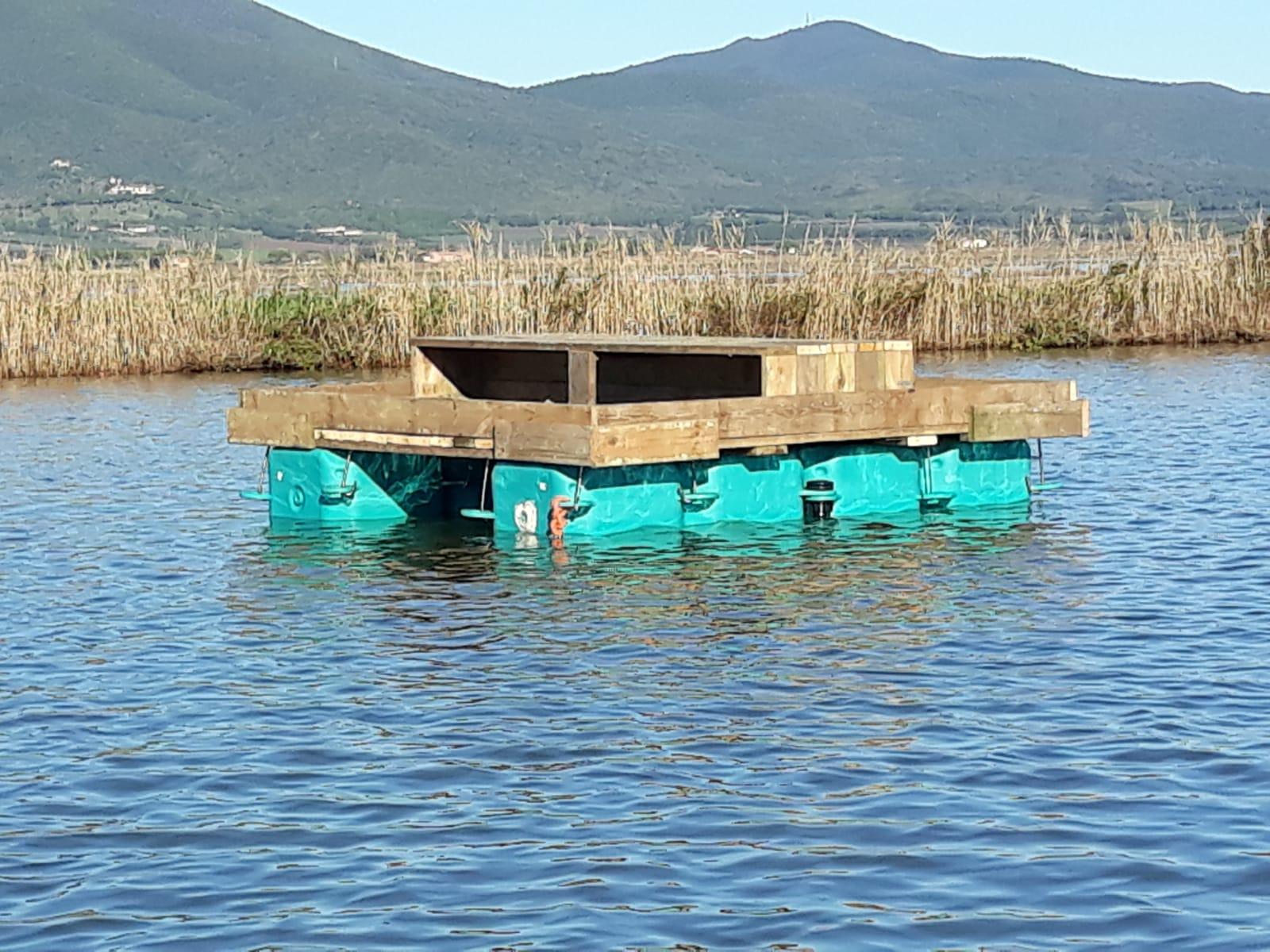 /api/file/public/264396/25600