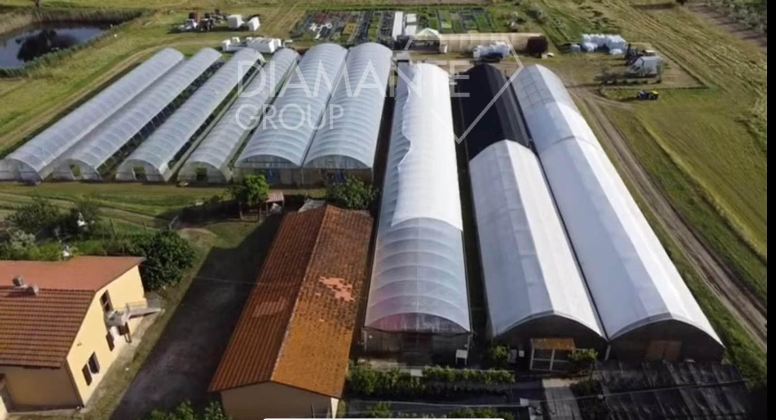 /api/file/public/264455/26032