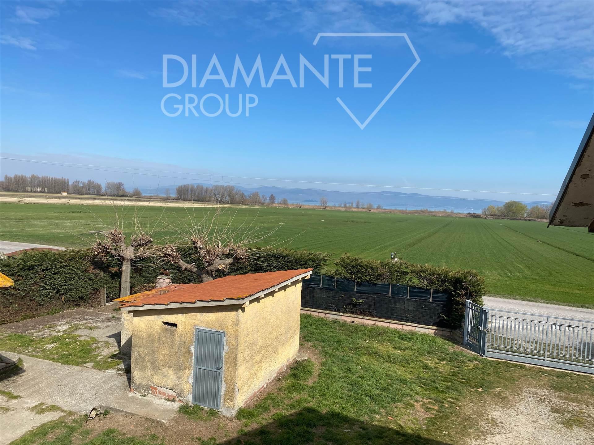 /api/file/public/264455/26033