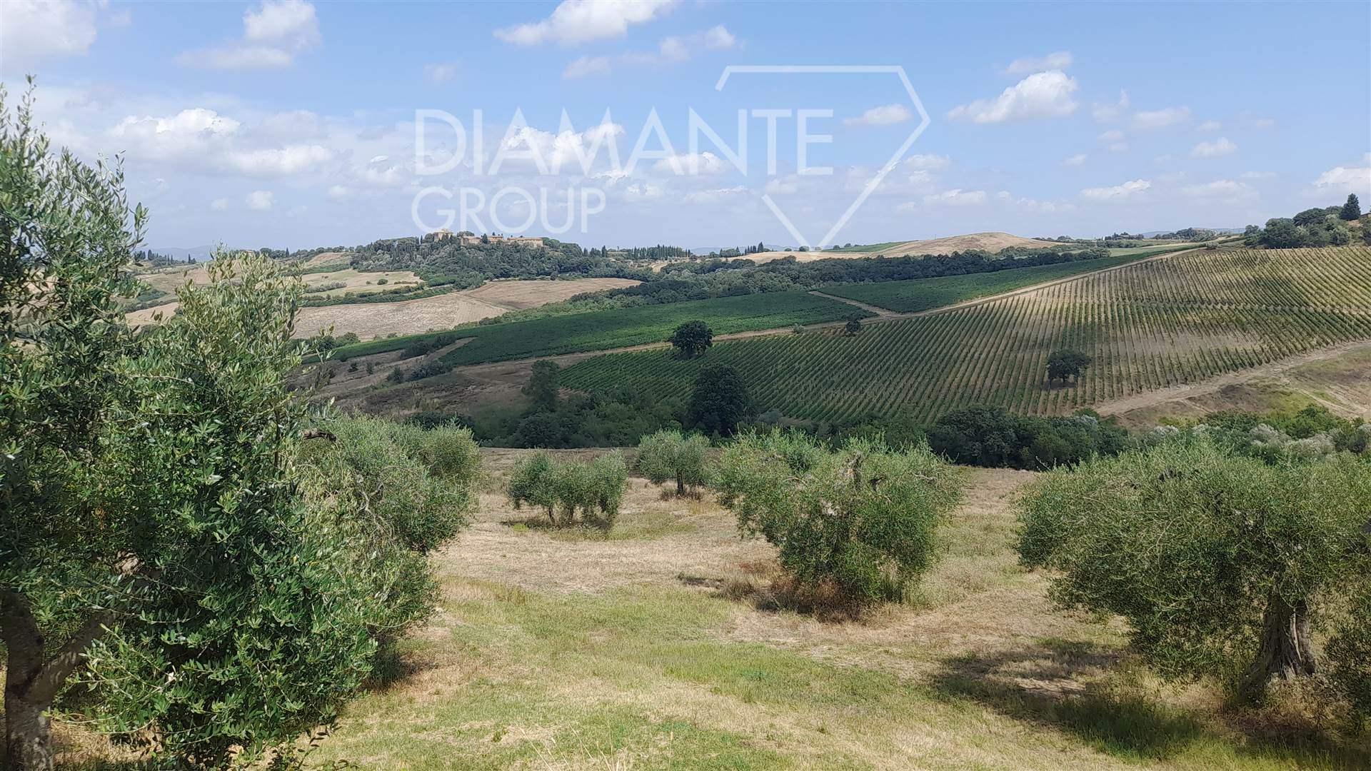 /api/file/public/264456/26036