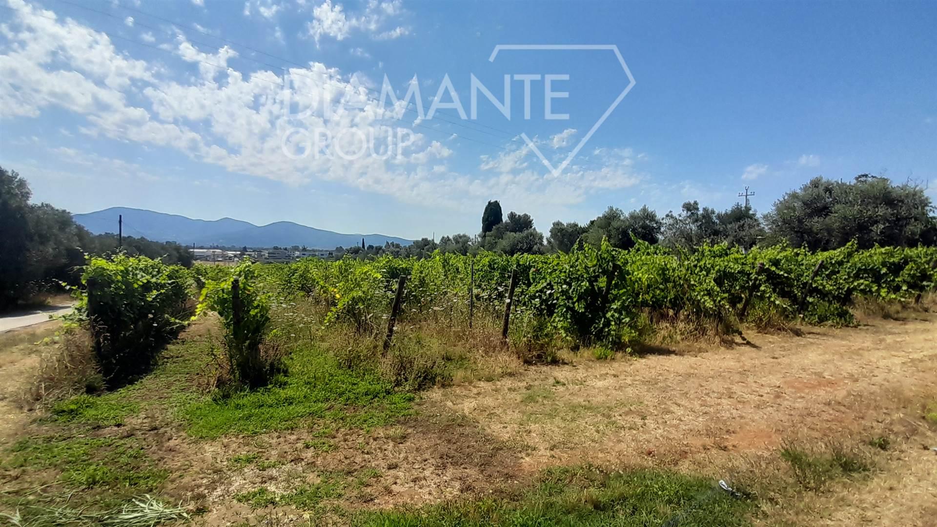 /api/file/public/264457/26039