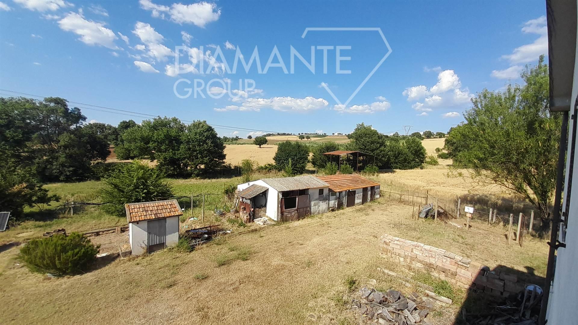 /api/file/public/264458/26041