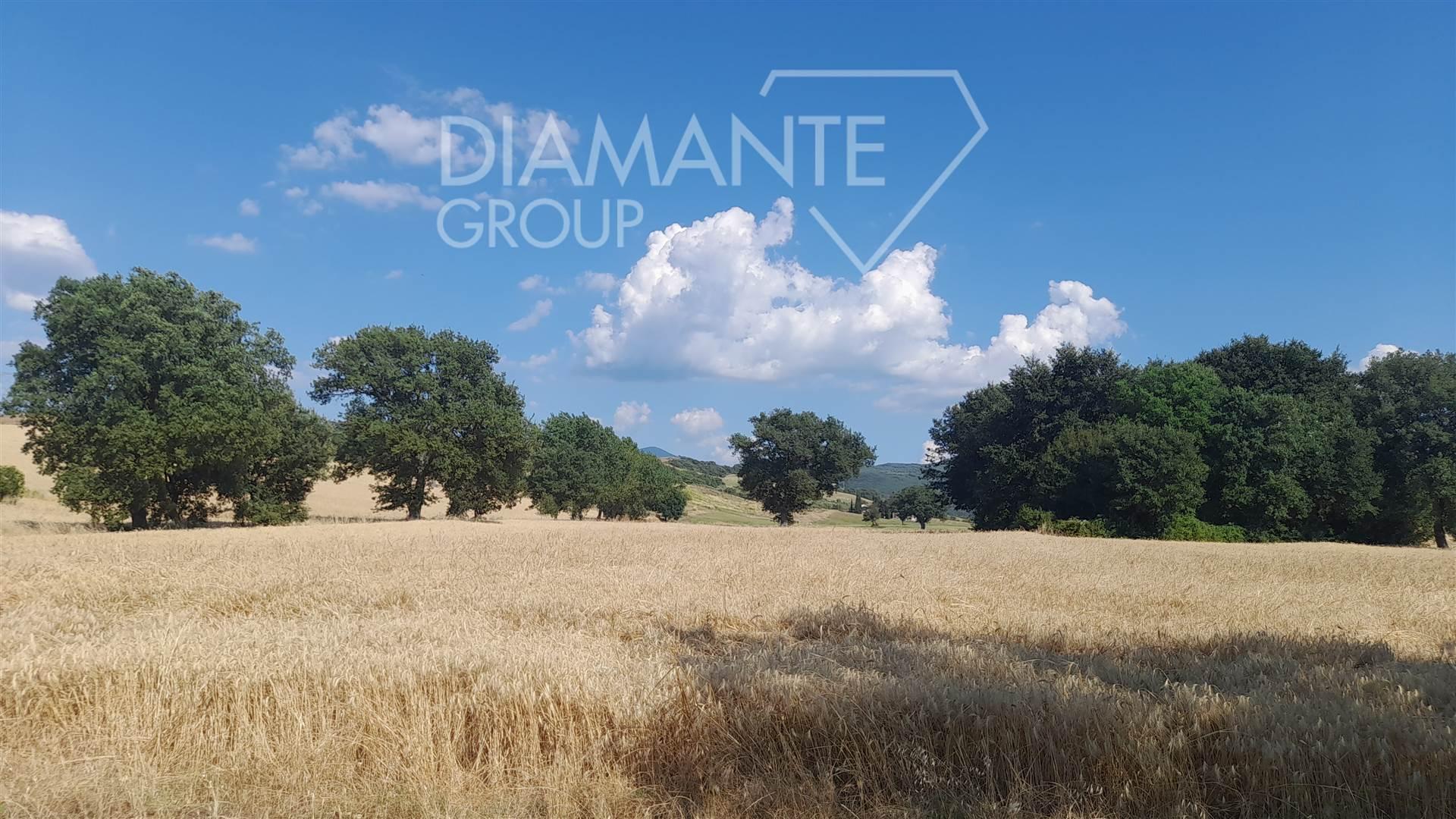 /api/file/public/264458/26043