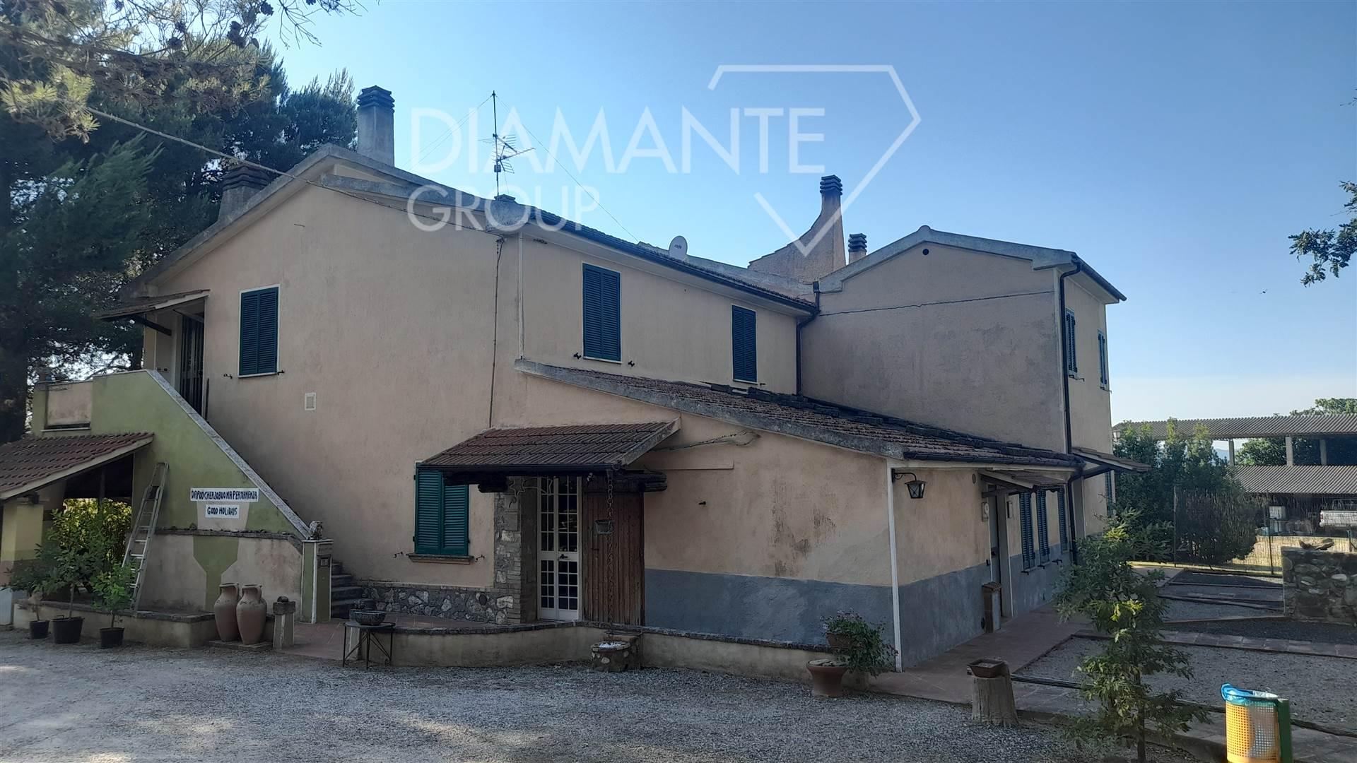 /api/file/public/264459/26044