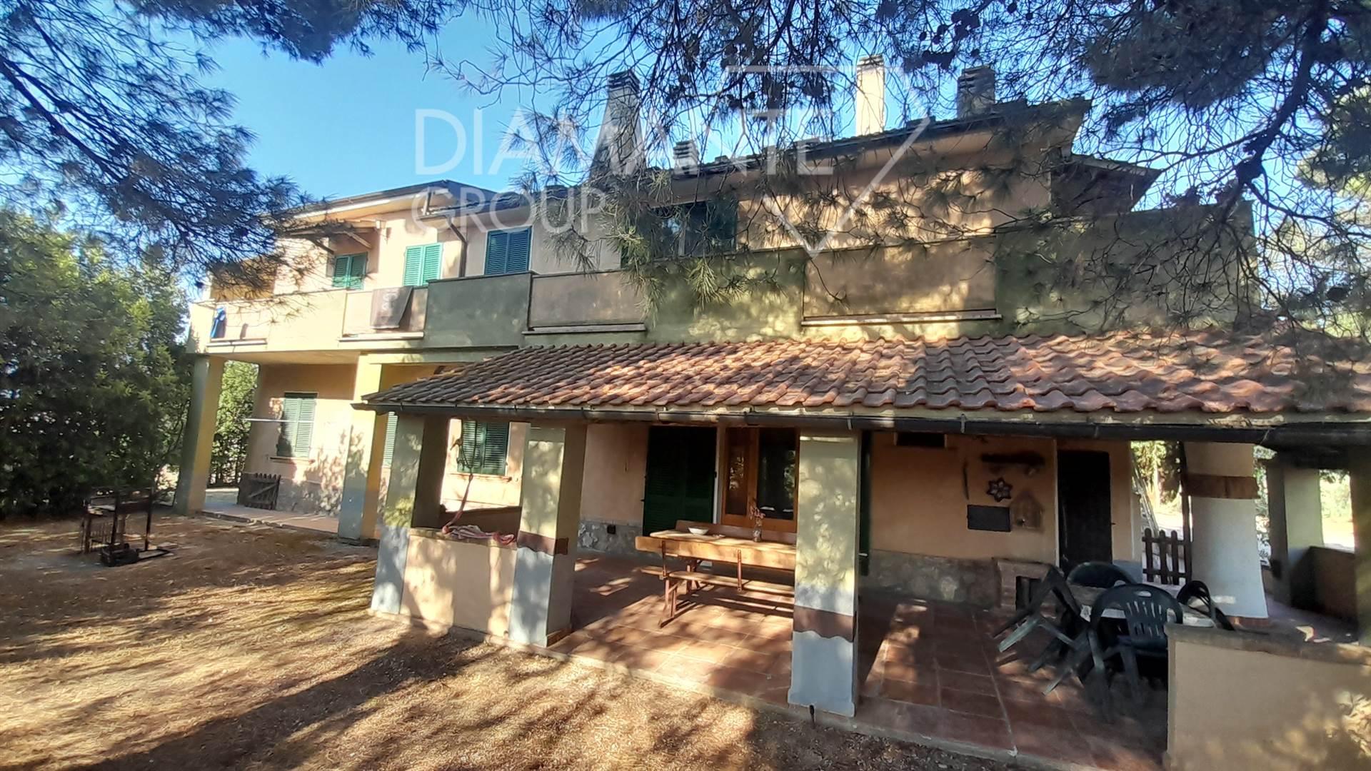 /api/file/public/264459/26045