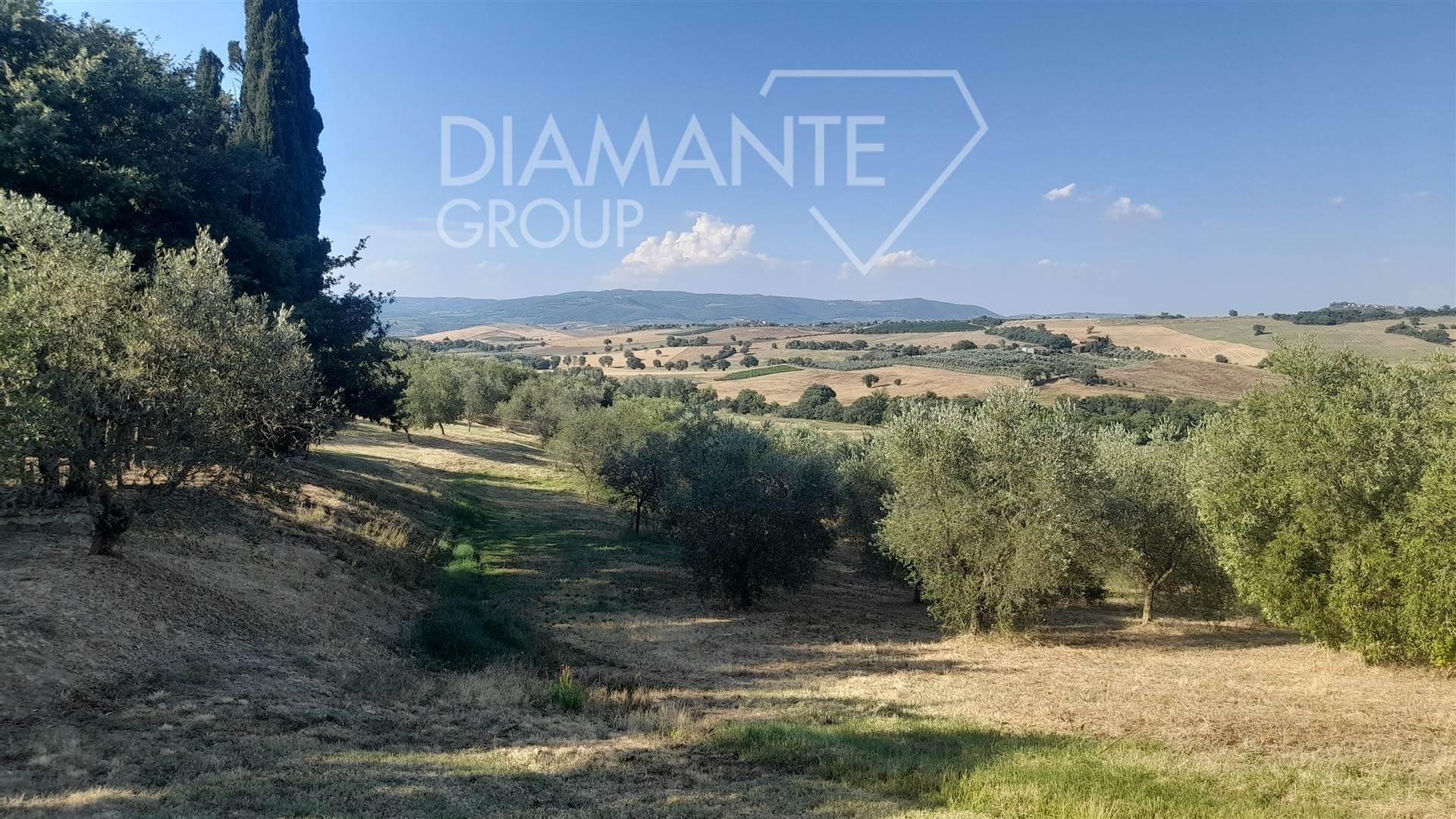 /api/file/public/264459/26046