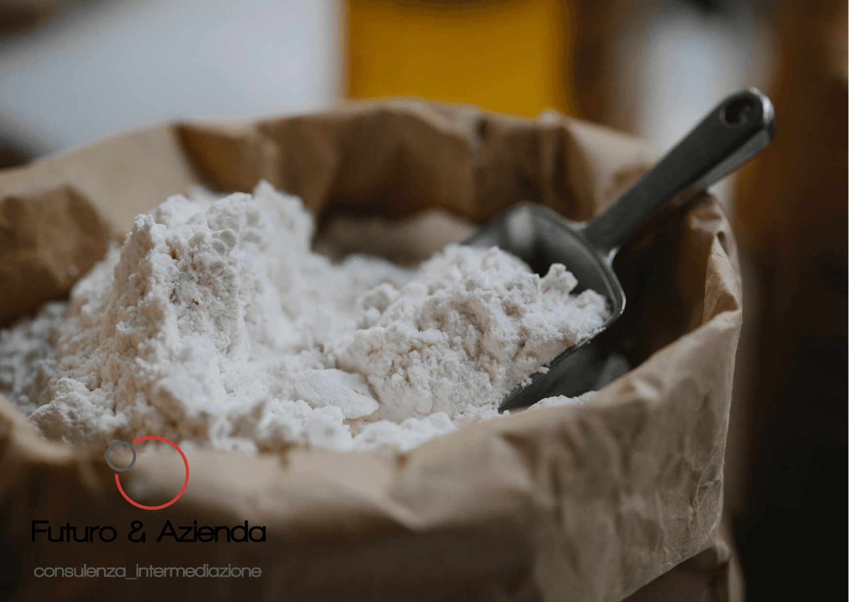 /api/file/public/264464/26060