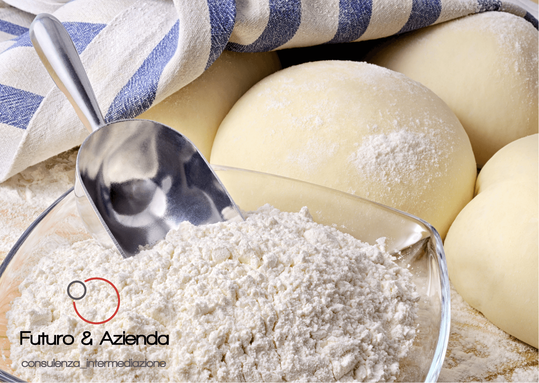 /api/file/public/264464/26068