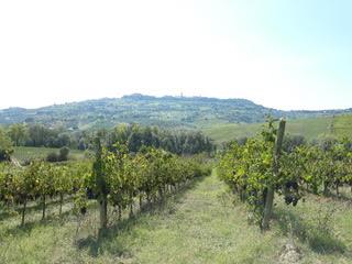 /api/file/public/264478/26098